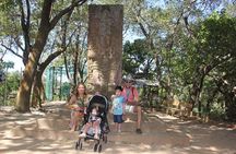 Roatan Wildlife Monkey Sloth Chocolate Rum Tasting city Tour