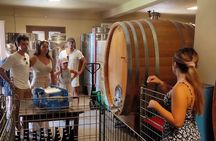 Kefalonia: Private Olive Oil, Honey & Wine Tasting Experience 