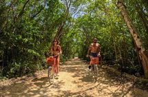 Ride to a life changing cenotes tour