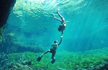 Ride to a life changing cenotes tour