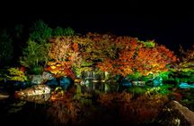 Private Customize Tour Himeji from Osaka 