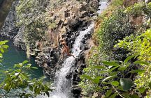 Scenic Road to Hana Adventure with Brunch 