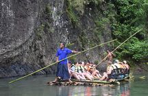 Jewel Of Fiji incl Fijian Village, Waterfall & Lunch Coral Coast