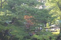 Tokyo's Oldest Sake Brewery and jump into historic town