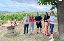  Wine Tasting in Patrimonio & Saint-Florent