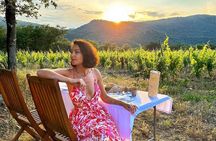  Wine Tasting in Patrimonio & Saint-Florent