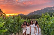  Wine Tasting in Patrimonio & Saint-Florent