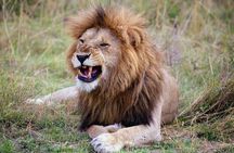 3 Days Tsavo East & Amboseli (2 Nights)