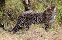 3 Days Tsavo East & Amboseli (2 Nights)