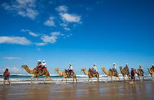 Agadir/Taghazout : Quad Bike & Camel Ride On The Beach