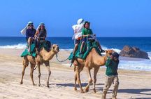 Agadir & Taghazout: Half Day Quad Bike Adventure and Camel Ride 