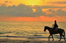 Agadir and Taghazout: 2 Hours Horseback Ride on the Beach