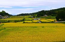 Hiking the Historic Nakasendo Trail- 1 Day Tour from Nagoya