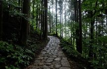 Hiking the Historic Nakasendo Trail- 1 Day Tour from Nagoya