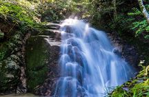 Hiking the Historic Nakasendo Trail [1 Day Tour from Nagoya]