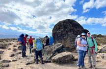 Climb Kilimanjaro in 8 Days via Lemosho Route