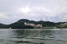 Scenic Escape: Nami Island, Garden of Morning Calm, and Rail Bike