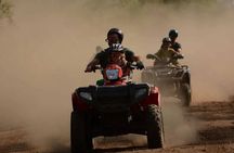 Agadir & Taghazout: Half Day Quad Bike Adventure and Camel Ride 