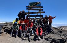 Climb Kilimanjaro in 8 Days via Lemosho Route