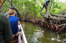 Cartagena Mangrove Tour