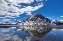 Lake Louise, Moraine Lake, Peyto Lake, Crowfoot Tour from Calgary