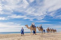 Tangier Day Trip from Rabat with Free Camel Ride 