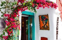 Semi Private South Mykonos Town Beaches and Village