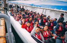 4 Days and 3 Nights Tour in Lima, Paracas, Ica and Nazca