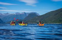 3-Hour Kayak Tour in Åndalsnes