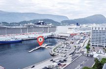 All About the Fjords in One Tour by Boat and Bus from Ålesund