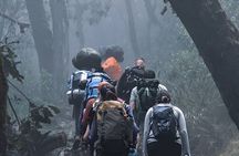 Machame Route 7-Day Private Kilimanjaro Trek