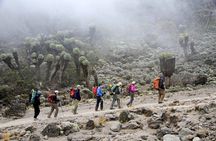 Machame Route 7-Day Private Kilimanjaro Trek