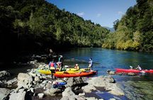 Kayaking Patagonian Fjord from Puerto Varas