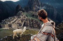 From Aguas Calientes: Entrance Machupicchu, Bus and Guide.
