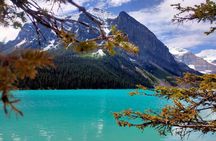 Lake Louise, Moraine Lake, Peyto Lake, Crowfoot Tour from Calgary