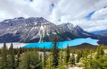 Lake Louise, Moraine Lake, Peyto Lake, Crowfoot Tour from Calgary