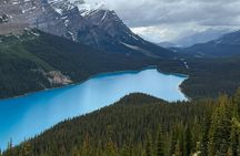 Lake Louise, Moraine Lake, Peyto Lake, Crowfoot Tour from Banff