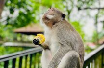 Ubud Monkey Forest, Holy Water Temple & Waterfalls Tours