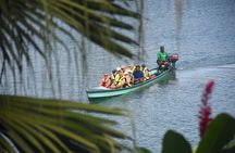 Jewel Of Fiji Day Tour from The Marriot & Shangri-La Resort