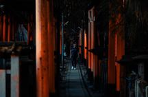 Kyoto Fushimi-Inari Night Walking Tour