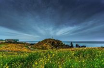 Full-Day Jeju Island UNESCO Tour for Cruise Layover Guests
