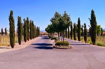 Wine Tasting Tour from Las Vegas with Snacks