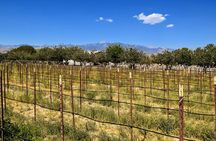 Wine Tasting Tour from Las Vegas with Snacks
