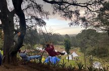Visit of Fireflies Forest in private transport from mexico city