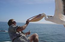 Marine Dune Day: Catamaran Cruise and Sandwich Harbor Dune Drive