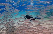 2 Fun Dives in Racha Yai or Noi for Certified Divers