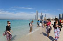 Private Abu Dhabi City Guided Tour