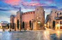 1.5h Private Old Town Tour optional Zoo/Aquarium Tickets