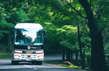 Perfect Nara Park Half-Day Bus Tour with English Speaking Guide