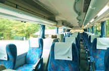 Perfect Nara Park Half-Day Bus Tour with English Speaking Guide